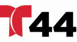 WZDC-DT2 44.2 TeleXitos logo