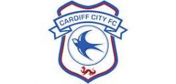 Cardiff City Audio Description logo