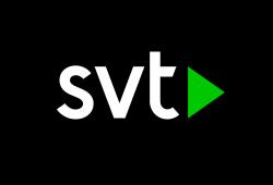 SVTplay.se logo