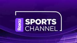 Roku Sports Channel logo