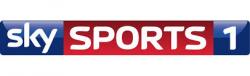 Sky Sports 1 / HD logo