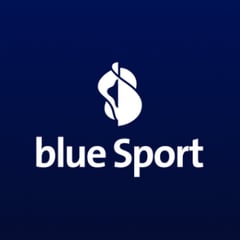 Blue ZOOM D Schweiz logo