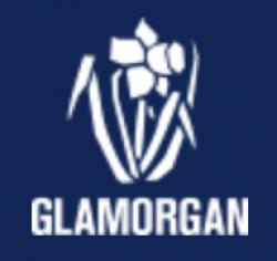 Glamorgan Cricket Website Logo