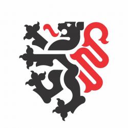Facebook: CLUB De LYON FC logo