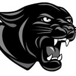 Permiansportsnetwork.com logo