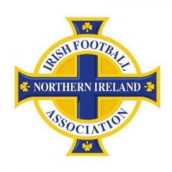 YouTube: Irish FA logo