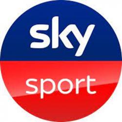 TikTok: SkySportDE logo