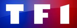 TF1 / HD (France) logo