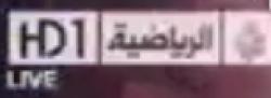 Al Jazeera 1 / HD logo