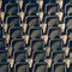 Dailymotion: Football Live logo