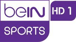 beIN Sports France 1 HD logo