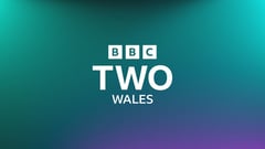 BBC Two (wales) / HD logo