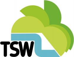 TSW (Television South West) Logo