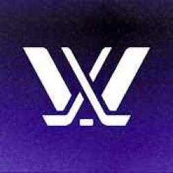 YouTube: The PWHL logo