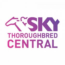 Sky Thoroughbred Central logo