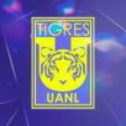 Facebook.com/ClubTigresFemenil logo