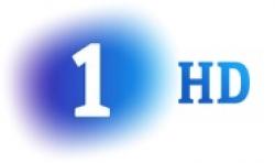 TVE La 1 / HD logo