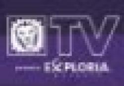 LionNation TV logo