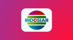 Indosiar / HD logo