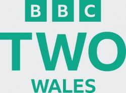 BBC Two Wales / HD logo