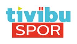 Tivibu Spor HD logo