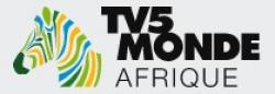 TV5 Monde Africa / HD logo