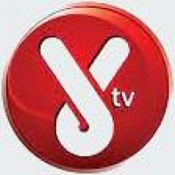 YTV Botswana logo