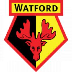 Watford YouTube Logo