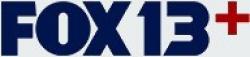 Fox 13+ logo