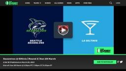 Match screenshot