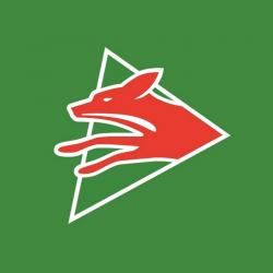 Foxes TV YouTube Logo