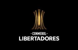 Facebook.com/CopaLibertadores logo