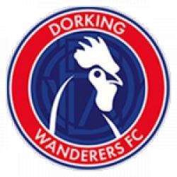 Dorking Wanderers Live Feed logo