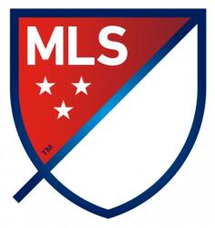 MLS Roundup logo
