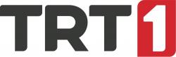 TRT 1 / HD logo