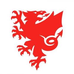 Facebook: FAWales logo