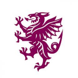 Somerset Cricket YouTube logo