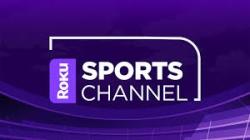 Roku Sports Channel Logo